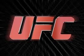 Dana diz que revanche entre Anderson e Weidman será em 2014
